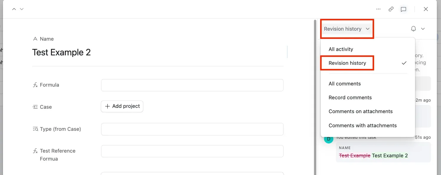 An expanded record with the activity dropdown open, listing All activity, Revision history, All comments, Record comments, Comments on attachments and Comments with attachments, with Revision history ticked.